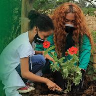 fondoimagen-3-1024x867